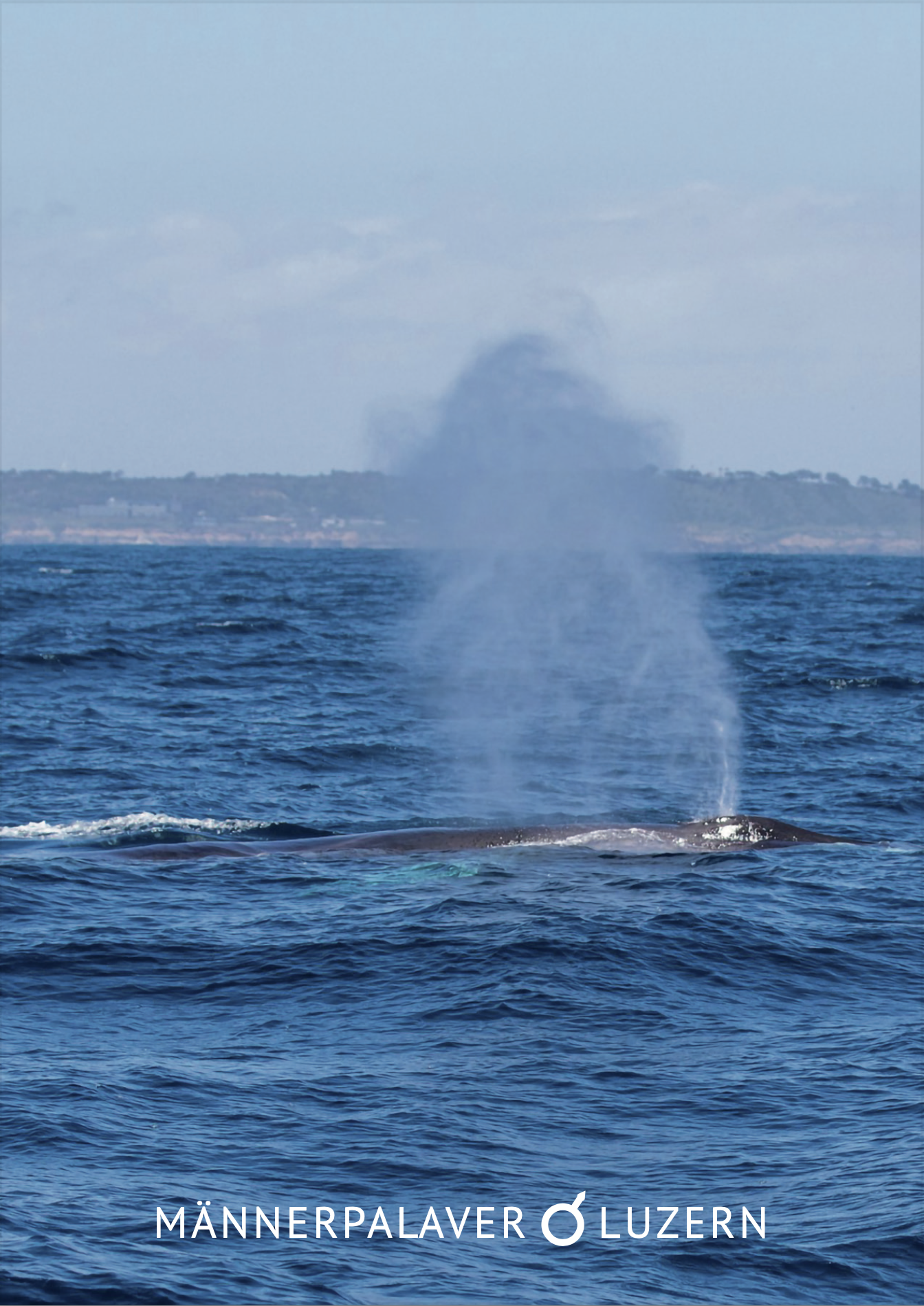 Männerpalaver Saison 25/26